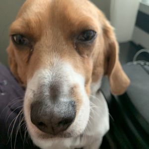 Meet your Posher, Stacey